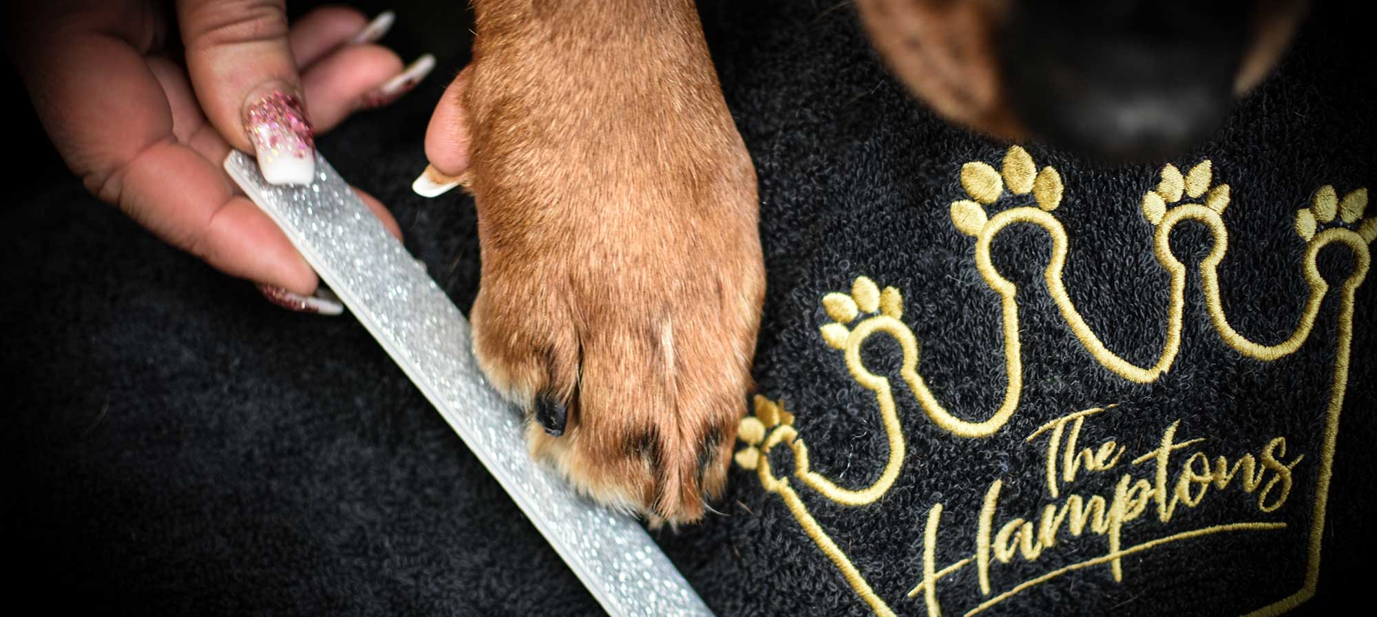 dognailsspa Hamptons Boutique Pet Hotel